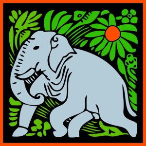 Center for South Asia logo