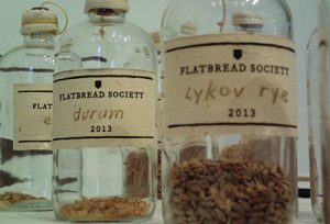 image of bottled seeds