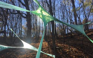 Art Installation featuring stretched green fabric in a wooded area