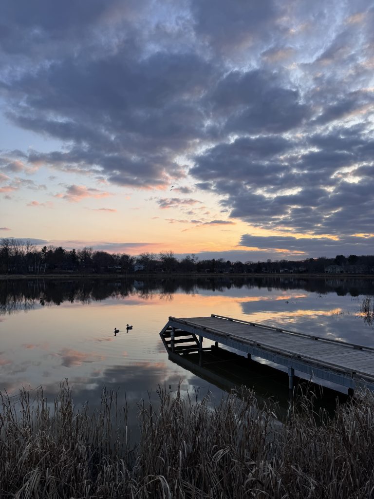 A lone pier stretches out into a pond surrounded by marsh grass.