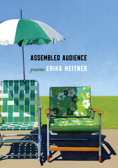 book cover design for Assembled Audience by Erika Meitner